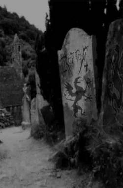 Raptor (NL) : Anger and Wrath